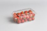 berries-15508-plastic-tray-punnet-clamshell-NNZ