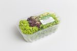 salad&herbs-13504-plastic-tray-punnet-stretch-film-NNZ