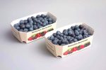 berry packaging - cardboard tray