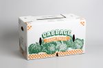 cabbage packaging - folding boxes