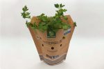 herbs packaging - paper bag